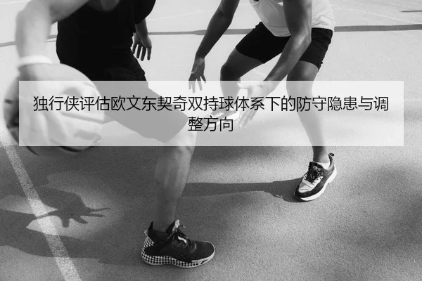 独行侠评估欧文东契奇双持球体系下的防守隐患与调整方向（pg）